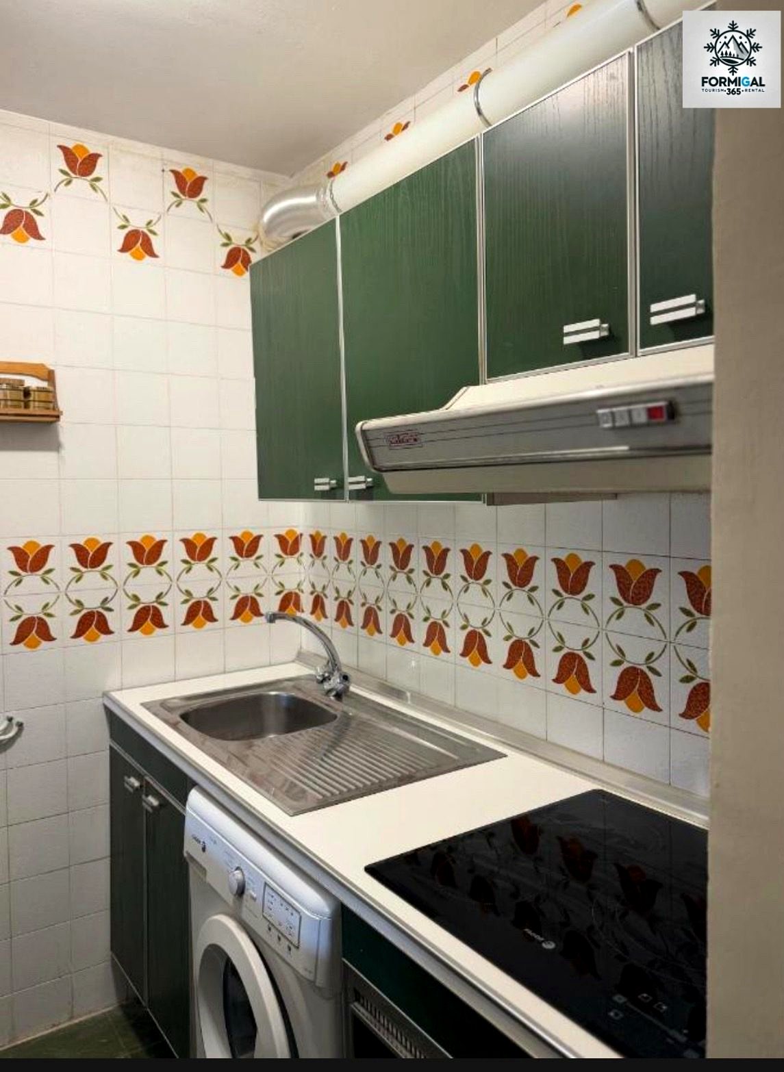 Fregadero y lavadora de la cocina del apartamento Formigal365